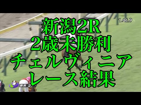 【競馬】藤田社長の『ボンドガール』、かなり期待できそう　新馬戦のレベルがマジで高い