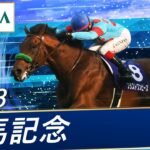 ブラストワンピースが馬術大会で優勝する