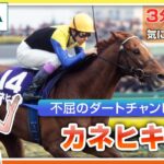 【競馬】ルメール騎手が乗ってきた歴代の競走馬ベスト3