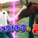 【競馬】和田騎手がメイショウドトウと再会した動画が公開中！相変わらずの塩対応ｗｗｗ