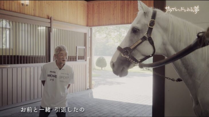 【競馬】今浪さん、ゴルシに会いに行ったんだ　ゴルシの目が優しく見える