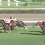 【競馬】紫苑ステークスで3着に入ったのはどの馬だった？シランケド