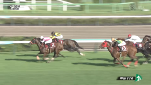 【競馬】紫苑ステークスで3着に入ったのはどの馬だった？シランケド