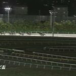 【競馬】Jpn2日本テレビ盃はウシュバテソーロが快勝！流石に格が違うな