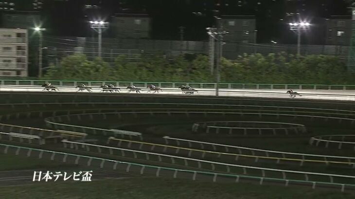 【競馬】Jpn2日本テレビ盃はウシュバテソーロが快勝！流石に格が違うな