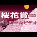 【競馬】スプリンターズSの枠順が確定！ナムラクレア1枠1番　ママコチャ3枠6番