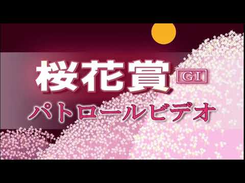 【競馬】スプリンターズSの枠順が確定！ナムラクレア1枠1番　ママコチャ3枠6番