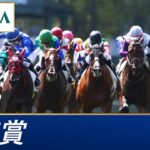 【競馬】ドゥレッツァが5連勝で菊花賞を制す！ルメール上手すぎる！