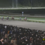 【競馬】レモンポップがマイルチャンピオンシップ南部杯を制覇！逃げ切りで圧勝