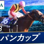 【競馬】スクリーンヒーローが種牡馬を引退　今後は社台ファームで余生を送る予定