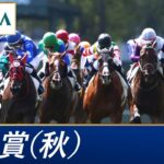 【競馬】イクイノックスが天皇賞・秋を連覇！トーセンジョーダンのレコードも更新！最強だわ