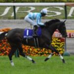 【競馬】デアリングタクトが体部繋靱帯炎再発で引退すると発表、今後は岡田スタッドにて繁殖入りする予定