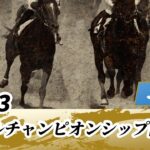 【競馬】マイルCS南部杯はレモンポップが大差勝ち！なんだこの強さ！