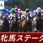 【競馬】ヴィルシーナの娘『ディヴィーナ』がG2府中牝馬Sを制し重賞初勝利！