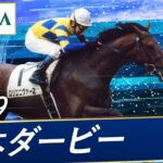 2009年ダービー馬の『ロジユニヴァース』がヴェルサイユリゾートファームへ　また大物がきた