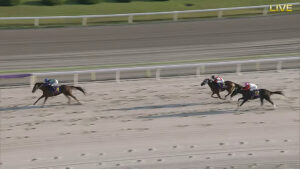 【競馬】アイコンテーラーがJBCレディスクラシックを制覇！強い走りだった！