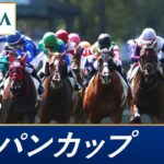 【競馬】ジャパンカップはイクイノックスが4馬身差勝利！獲得賞金は20億円を超えて日本馬歴代1位に！強すぎる無敵かコイツ【ウマ娘民の反応】