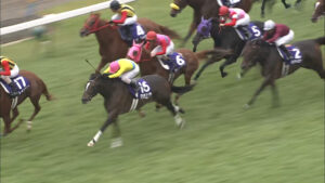 【競馬】2007年の秋華賞｢外からダービー馬が襲ってくる｣という実況のインパクト