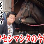 【競馬】ジャンポケ斉藤さんのオマタセシマシタが船橋へ移籍