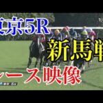 【競馬】藤田社長の『シンエンペラー』、デビュー戦を快勝！凱旋門賞馬ソットサスの全弟