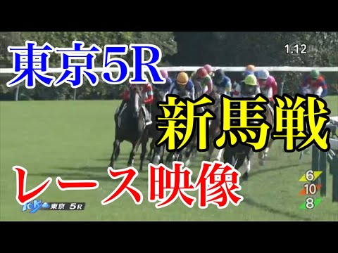 【競馬】藤田社長の『シンエンペラー』、デビュー戦を快勝！凱旋門賞馬ソットサスの全弟