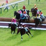 【競馬】キタサンブラック産駒が障害重賞初勝利！エコロデュエルが京都ジャンプSを制す！