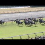 【競馬】ヴィブロスの息子『シヴァース』がデビュー戦を勝利！