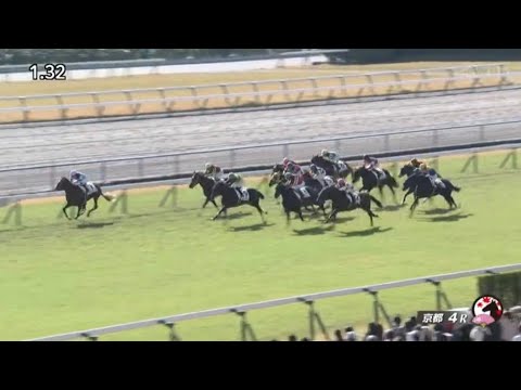 【競馬】ヴィブロスの息子『シヴァース』がデビュー戦を勝利！