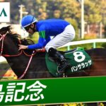 【競馬】パンサラッサが引退　今後はアロースタッドで種牡馬入り予定　引退式も行う方向で調整