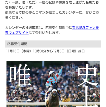 【競馬】有馬記念のファン投票が明日から開始！カレンダーの「史上、唯一。」ってどんなのがいるだろう？