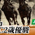 【競馬】Jpn3 JBC2歳優駿は藤田社長のフォーエバーヤングが差し切って勝利！勝ち方が強い！