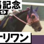 【シンデレラグレイ】142話ネタバレ感想　有馬記念決着！あんな怖い顔してたイナリがプリティーになるとは