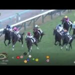 【競馬】ハルーワ一族のグランヴィノスが3勝目！シュヴァルグランなどの弟