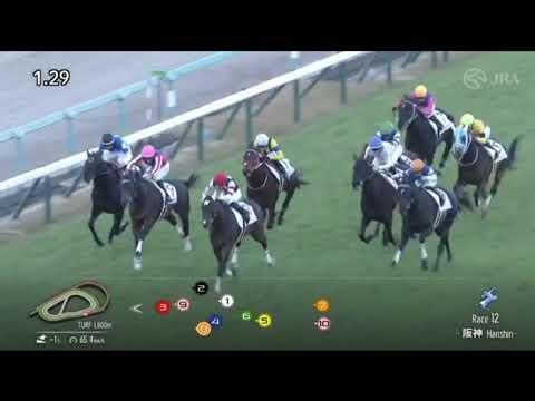 【競馬】ハルーワ一族のグランヴィノスが3勝目！シュヴァルグランなどの弟