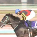 【競馬】アスコリピチェーノが阪神JFを制覇し現在3連勝中！