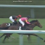 【競馬】シュヴァルグラン産駒が特別戦初勝利！