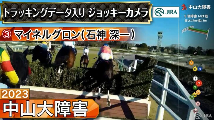 【競馬】中山大障害のコースの坂、ほんと高低差エグいな