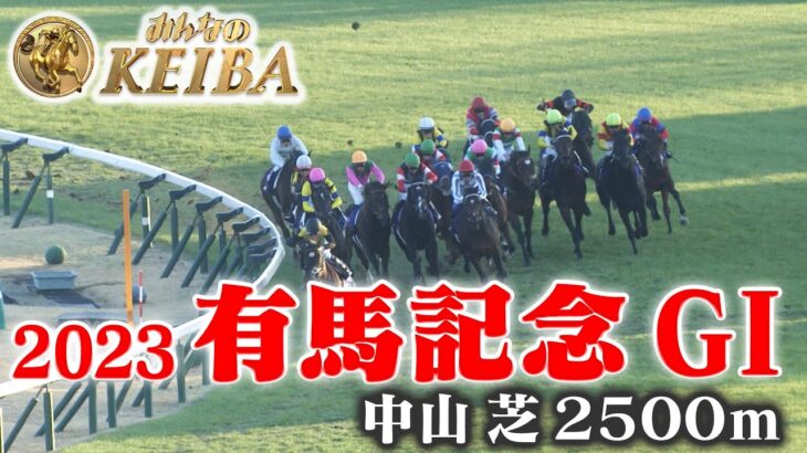 【競馬】有馬記念を制したのはドウデュース！武豊騎手は有馬記念4勝目！【ウマ娘民の反応】