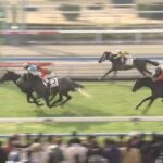 【競馬】ヴィブロスの子『ヴィンセドリス』が初勝利！