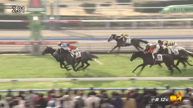 【競馬】ヴィブロスの子『ヴィンセドリス』が初勝利！