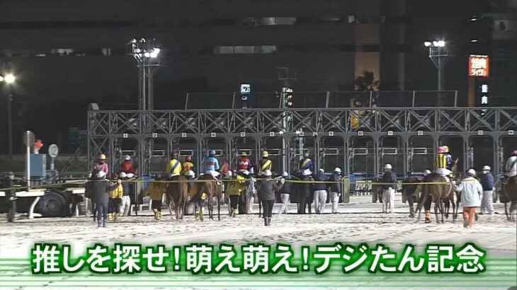 【船橋競馬コラボ】『推しを探せ！萌え萌え！デジたん記念』で母父アグネスデジタルの『テクノダイヤモンド』が勝利！