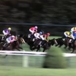 【高知競馬】「なにっ」シベリアンタイガー（13）、高知転入初戦を勝利！