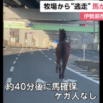 【競馬】道路を走っている馬が居たら仰天する出来事