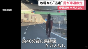 【競馬】道路を走っている馬が居たら仰天する出来事