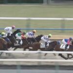 【競馬】ナイスネイチャの近親『ライスネイチャ』のデビュー戦は10着