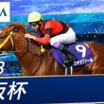 【競馬】右前浅屈腱炎が判明したジャックドールは現役続行