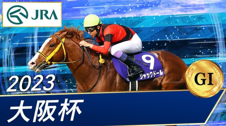 【競馬】右前浅屈腱炎が判明したジャックドールは現役続行