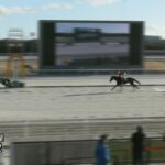 【名古屋競馬】ハッピーミークが1.1倍の人気に応え5勝目！B組でもまだ余裕あるね