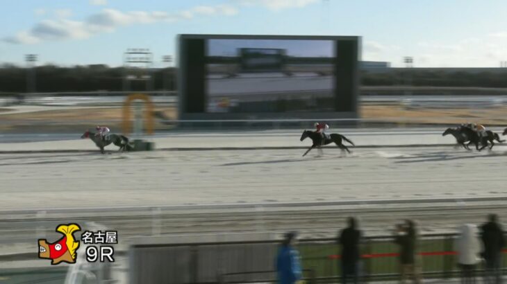 【名古屋競馬】ハッピーミークが1.1倍の人気に応え5勝目！B組でもまだ余裕あるね