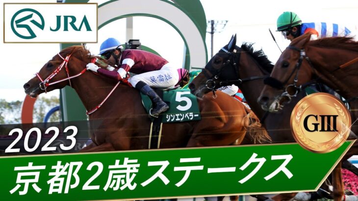 【競馬】シンエンペラーは国内専念の見通し　弥生賞か皐月賞直行へ